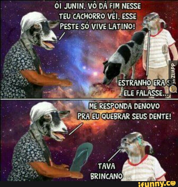 ÓI JUNIN, VÔ DÁ FIM NESSE
TEU! CACHORRO VEI, ESSE
= PESTE SO VIVE LATINO!
