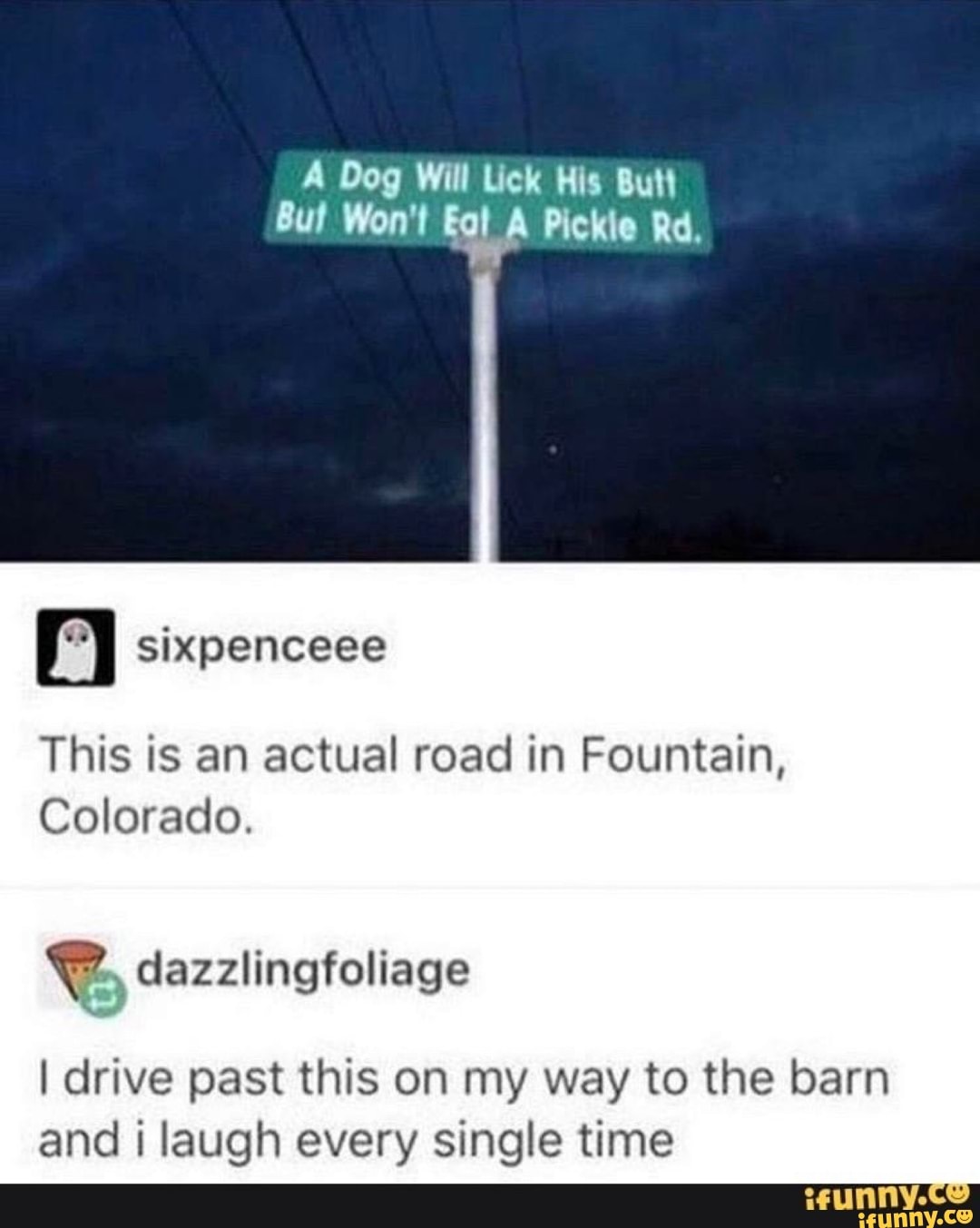 sixpenceee
This is an actual road in Fountain,
Colorado.
dazzlingfoliage
I drive past this on my way to the barn and laugh every single time
