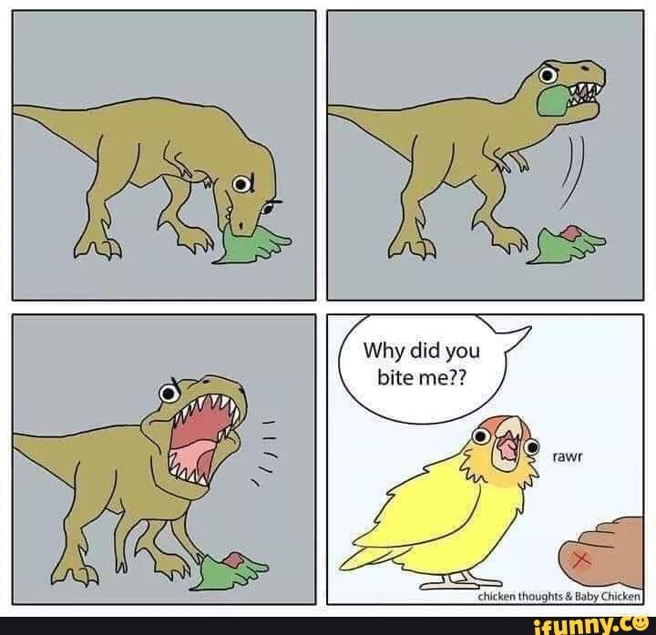 Dinosaurs memes.