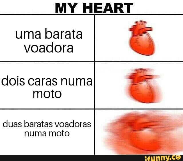 uma barata
voadora
dois caras numa
moto
duas baratas voadoras
numa moto