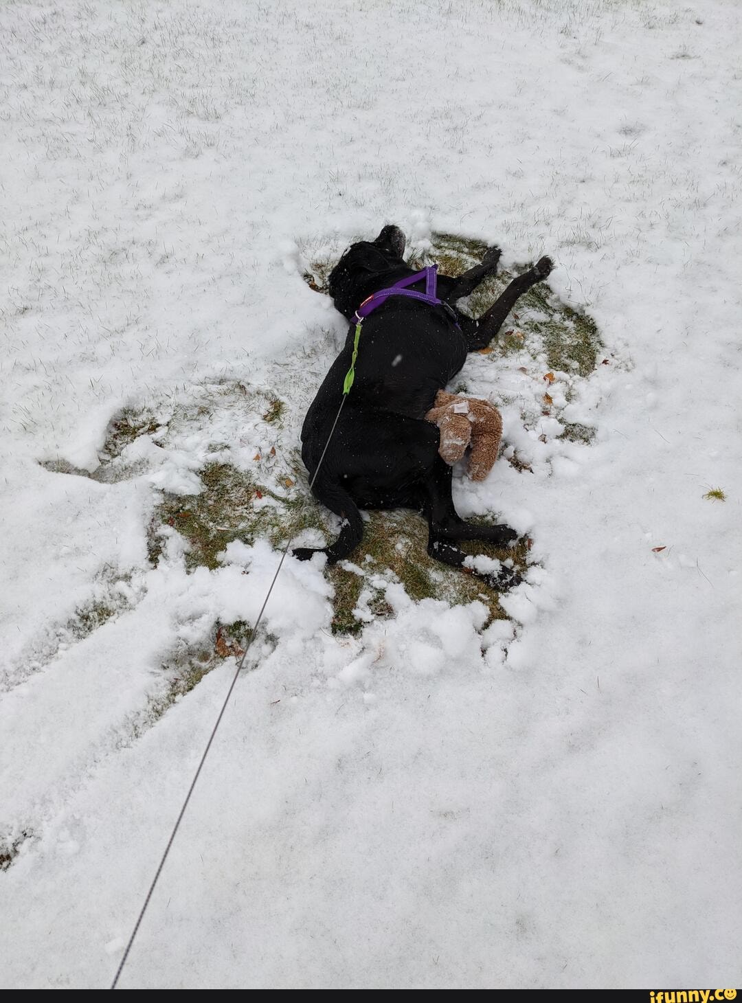 Snow_angel memes. Best Collection of funny Snow_angel pictures on iFunny