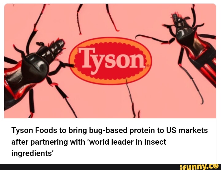 Tyson Foods to bring bugbased protein to US markets after partnering