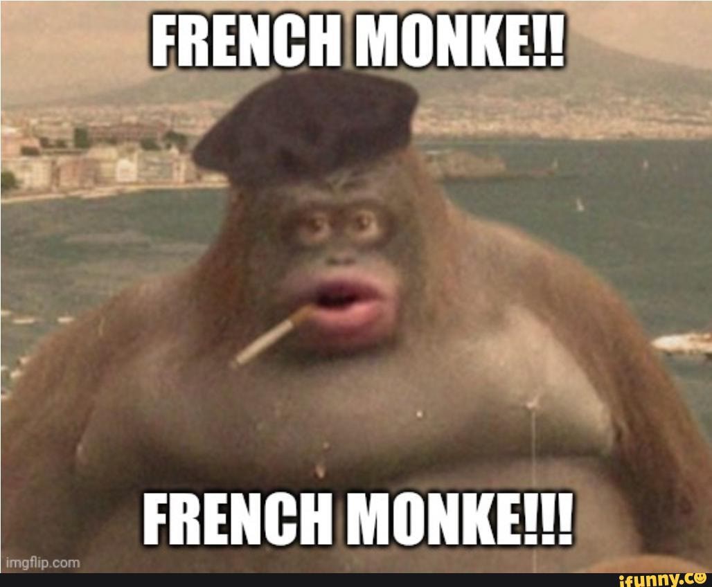 Image tagged in memes,le monke,monkey,funny,meme,funny meme - Imgflip