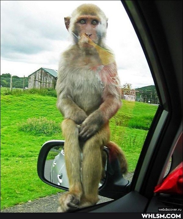 funny, photography