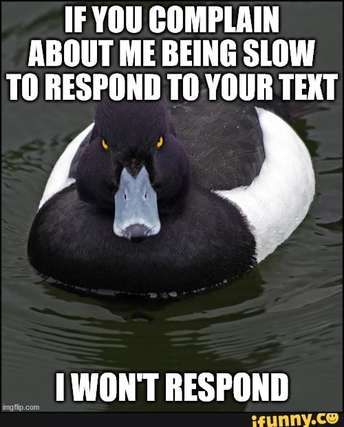 IF YOU COMPLAIN ABOUT ME BEING SLOW TO RESPOND TO YOUR TEXT WON'T ...