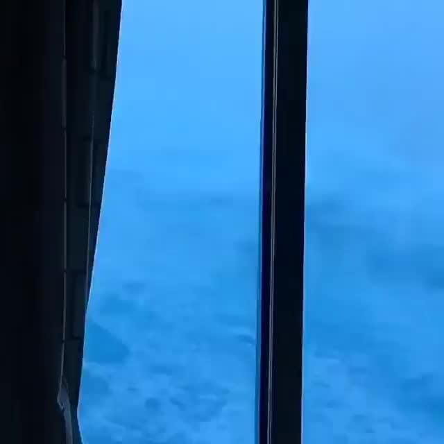 Giants Under The Sea Alicks