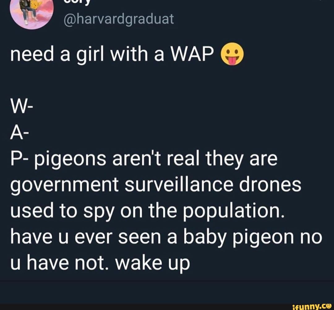 Need A Girl With A Wap We P Pigeons Arent Real They Are Government Surveillance Drones
