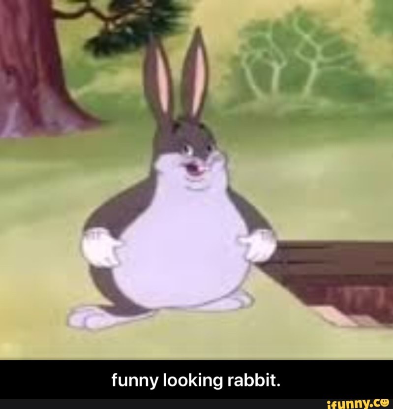 Dancing rabbit. Dance till your Dead. Dance Rabbit meme.