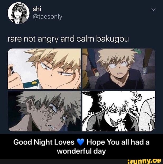 Rare Not Angry And Calm Bakugou Good Night Loves 