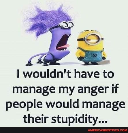 I wouldn't have to manage my anger if people would manage their stupidity...