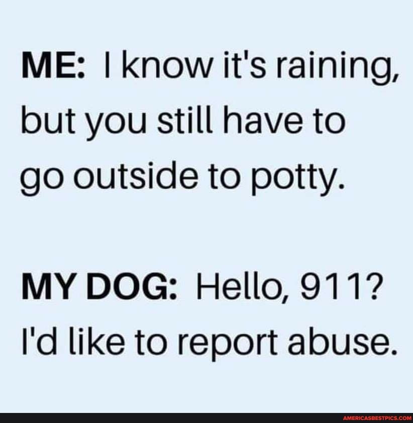 ME: I know it's raining, but you still have to go outside to potty.
MY DOG: Hello, 911?
I'd like to report abuse.