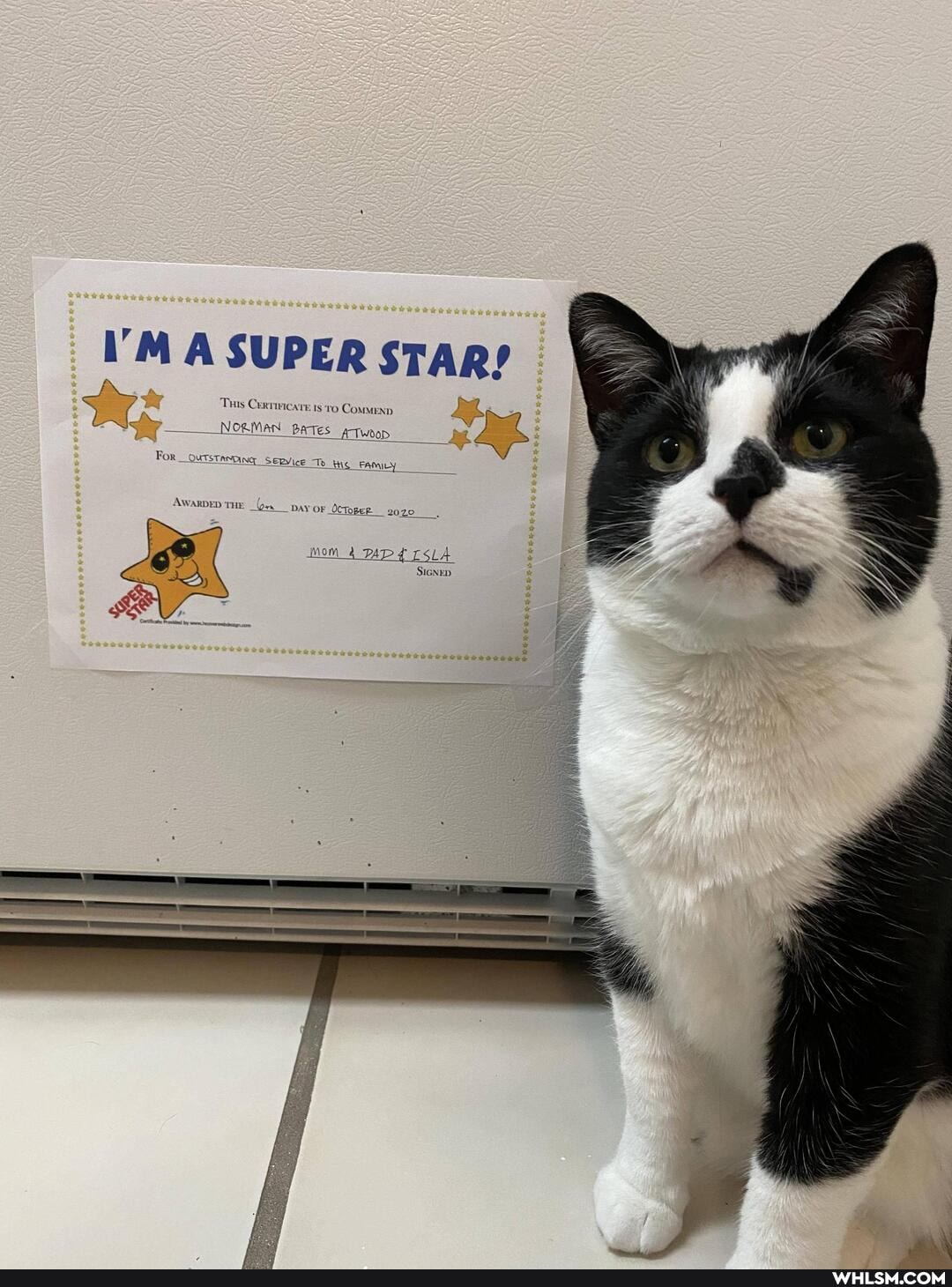 A SUPER STAR!
Fox _outstimpig Sepvice Te
DAY OF OcToper 2020.
Awaxpen THe
mom