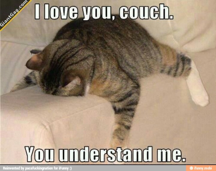 You
Understand mes