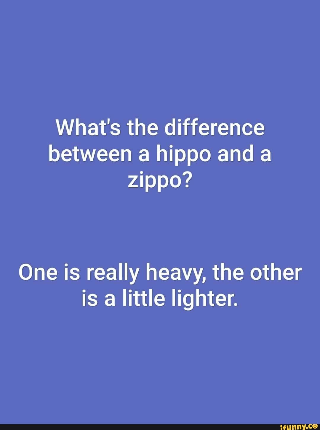 lol-what-s-the-difference-between-a-hippo-and-a-do-one-is-really