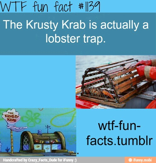 fun fact #124
The Krusty Krab is actually a
lobster trap.
wtf-fun-