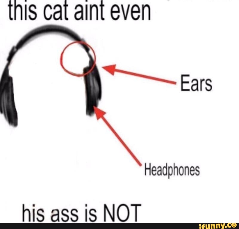 Headphones memes. Best Collection of funny Headphones pictures on iFunny