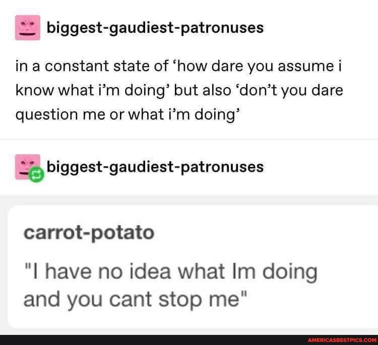 in a constant state of 'how dare you assume i know what i'm doing' but also 'don't you dare question me or what i'm doing'
biggest gaudiest-patronuses
carrot-potato
"I have no idea what Im doing and you cant stop me"