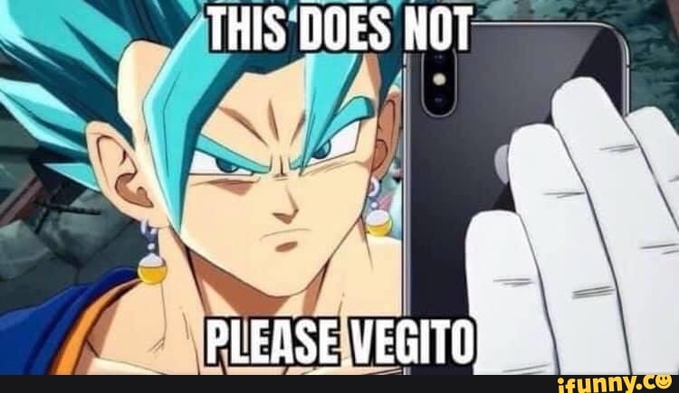 THIS DOES NOT PLEASE VEGITO) - )