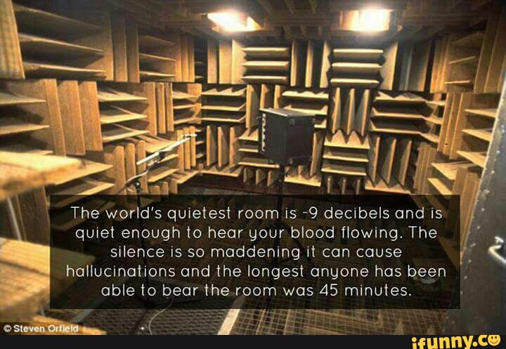 qule1enoughto hear gour blood flowing. The
Silence IS so maddening 11 can cause
hallucinations and the longest anyone has been
able to bear the room was 45 minutes.