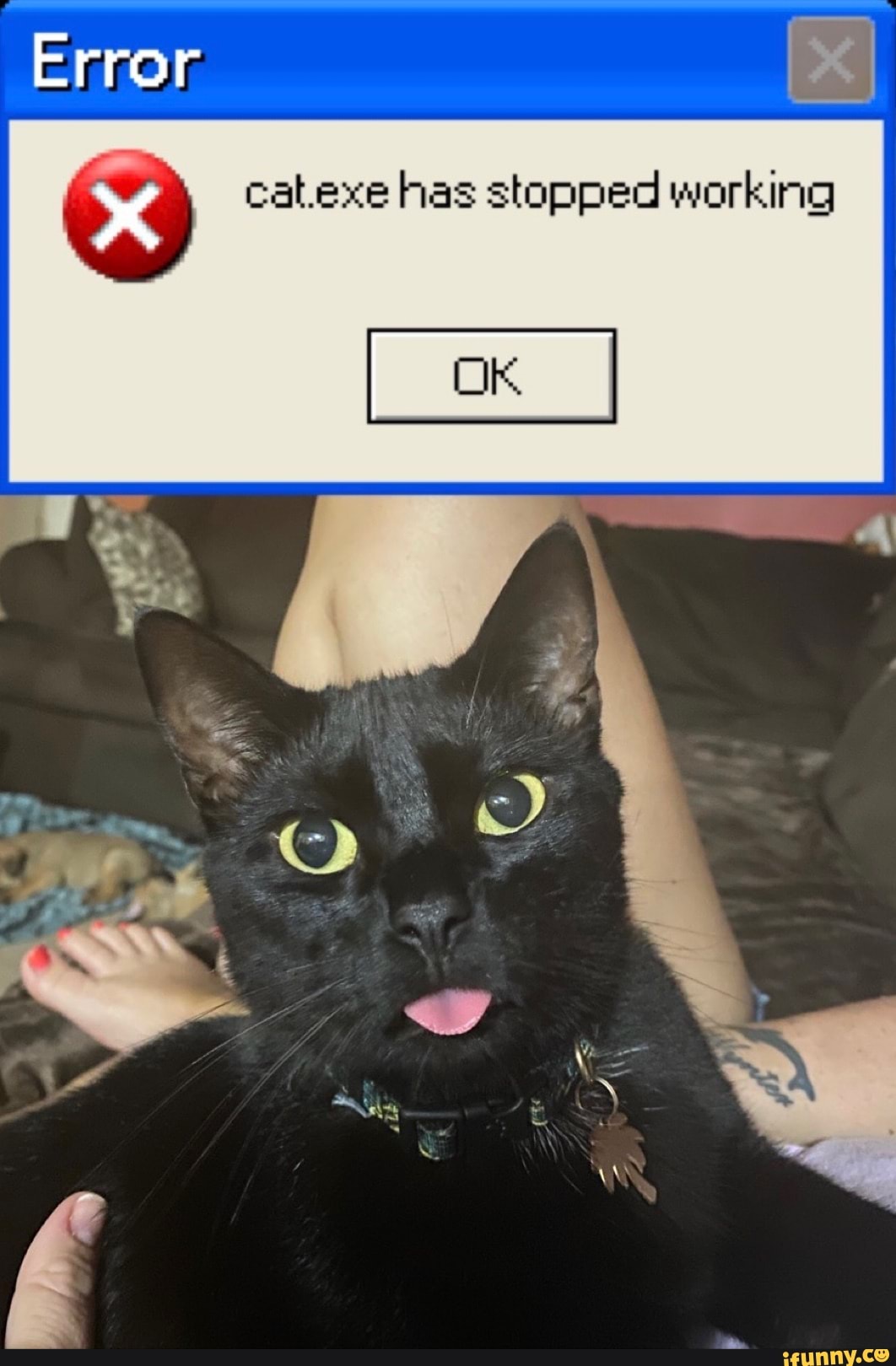 Error
catexe has stopped working