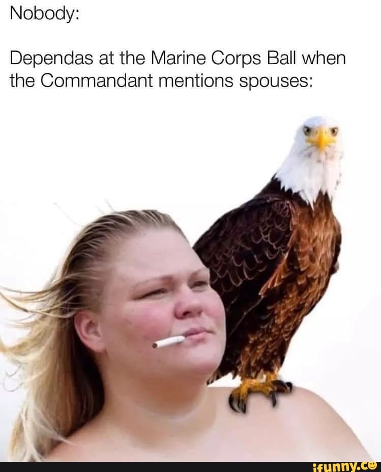 Nobody: Dependas at the Marine Corps Ball when the Commandant mentions ...