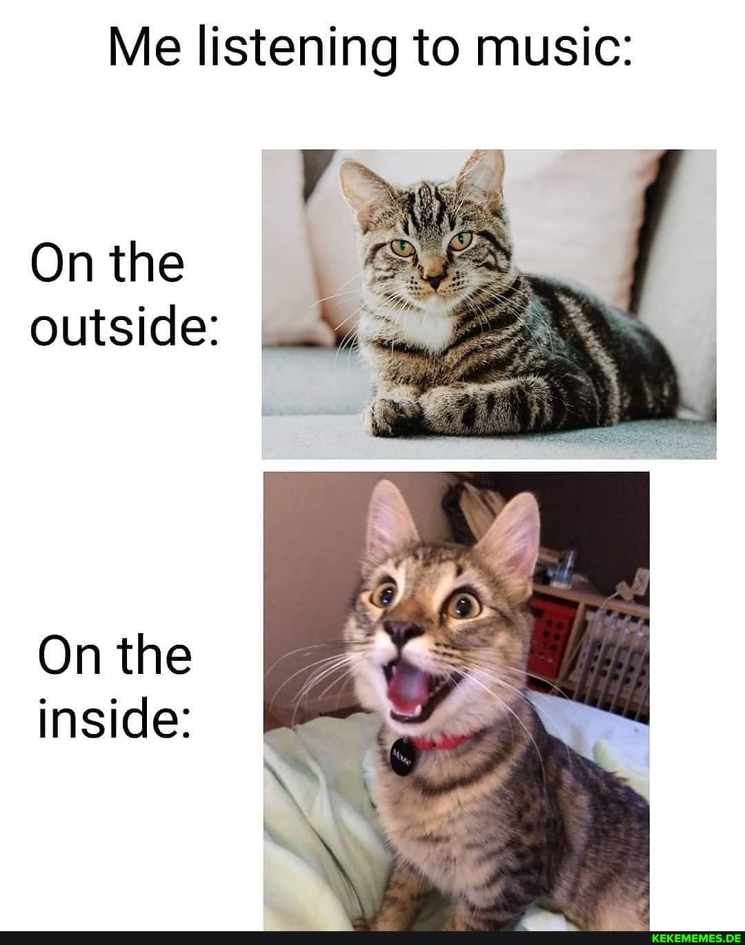 Me listening to music:
On the outside:
On the inside: