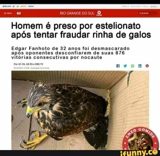 Homem é preso por estelionato após tentar fraudar rinha de galos
Edgar Fanholo de 32 anos foi desmascarado
nvomo
após oponentes descontiatem da usss 876 vitórias consecutivas por noc
