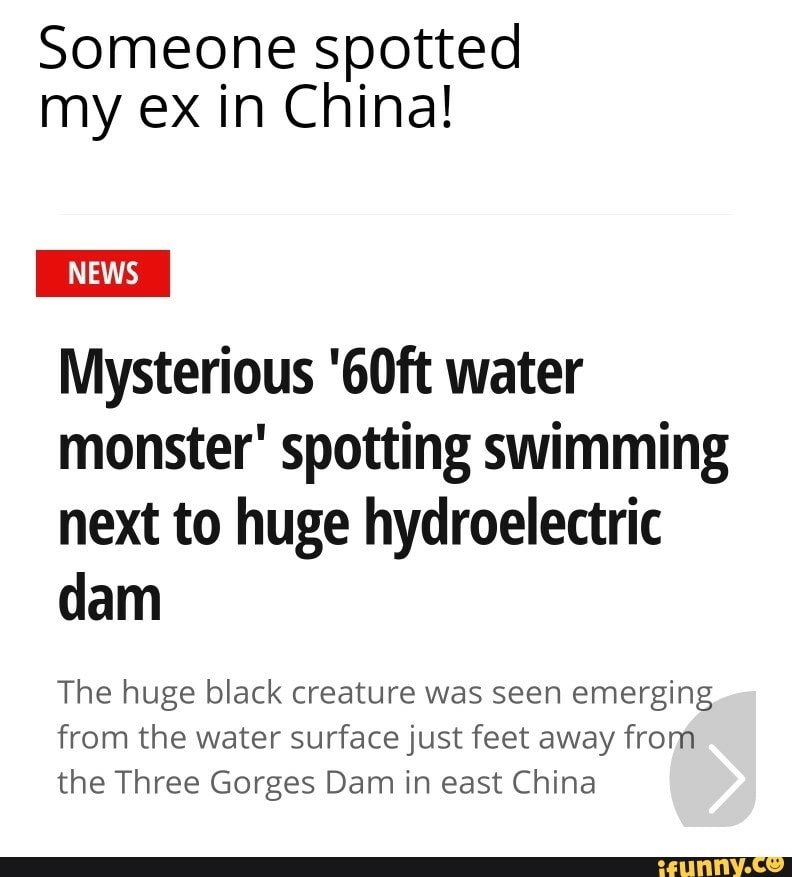Someone spotted
my ex in China!
Mysterious '60ft water
monster' spotting swimming
next to huge hydroelectric
dam
The huge black creature was seen emerging
from the water surface just feet away from
the Three Gorges Dam in east China