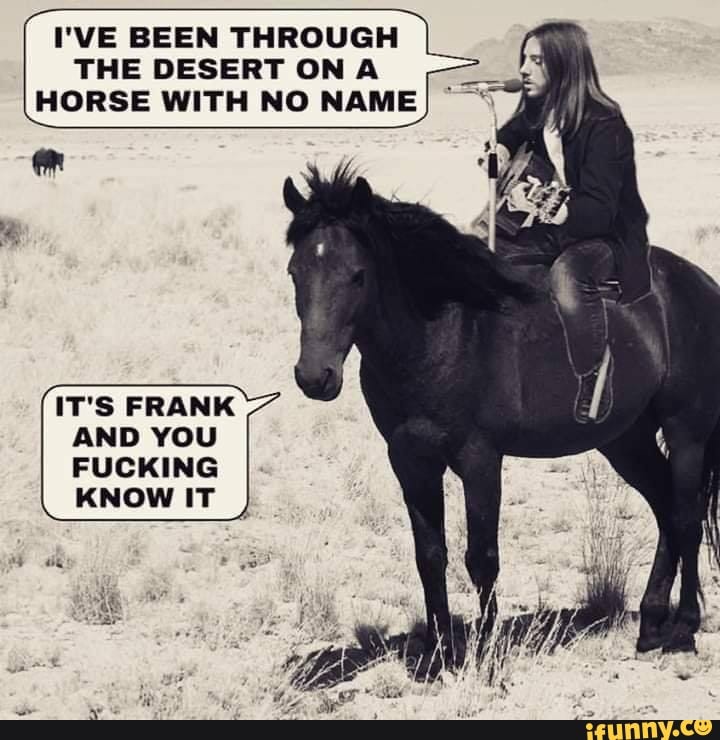 I'VE BEEN THROUGH
THE DESERT ON A
HORSE WITH NO NAME
IT'S FRANK
AND YOU
FUCKING
KNOW IT
