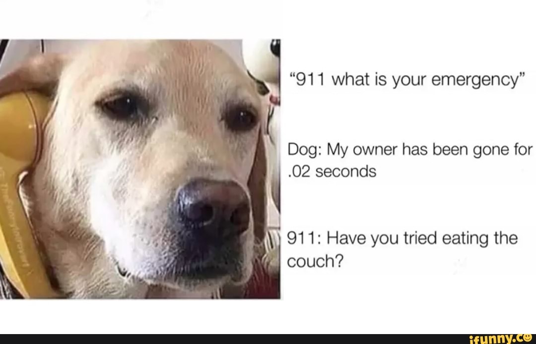 91 1 What Is Your Emergency" Dog: My Owner Has Been Gone For .02 Seconds Q 911: Have You Tried Eating The ' Couch? - )