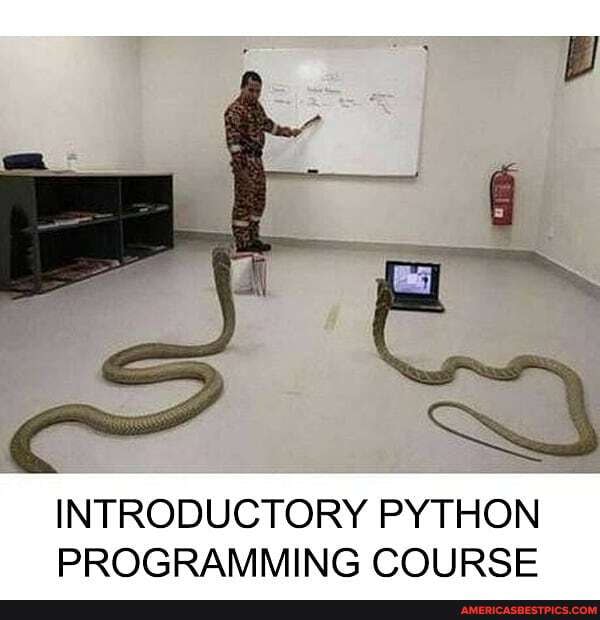 INTRODUCTORY PYTHON PROGRAMMING COURSE - America's best pics and videos