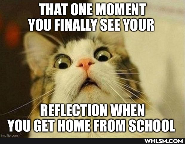 THAT ONE MOMENT YOU FINALLY SEE YOUR
REFLECTION WHEN VOU GET HOME FROM SCHOOL