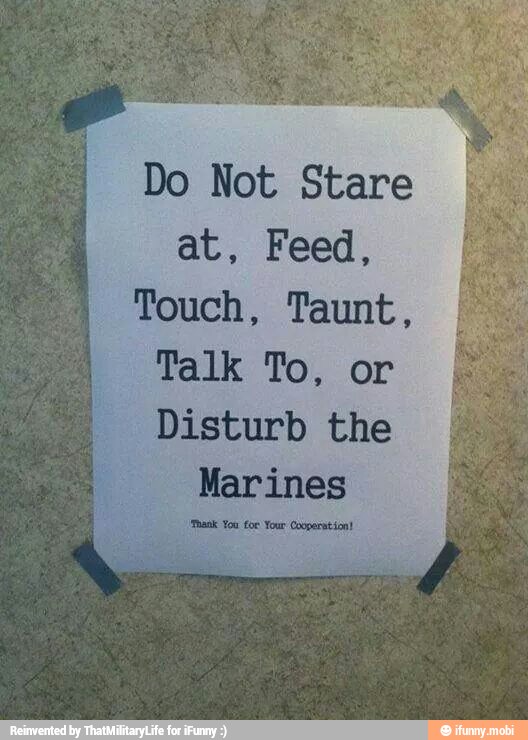 Do Not Stare
Touch, Taunt,
Talk To, or
Disturb the
Marines
"Thank You for Your Cooperation!