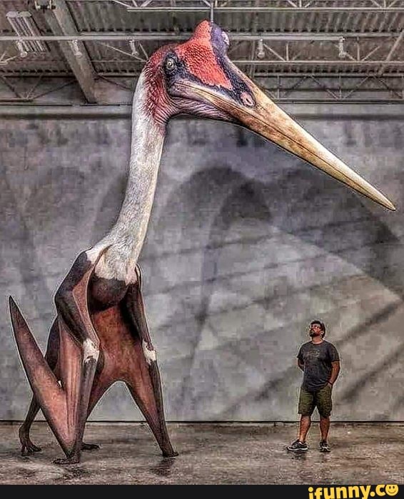 Quetzalcoatlus is a member of the family Azhdarchidae, a family of ...