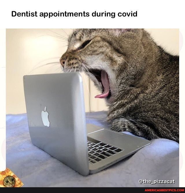 Dentist appointments during covid