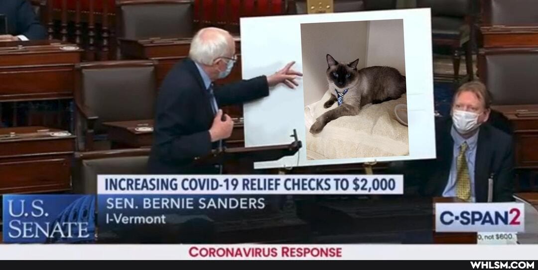 INCREASING COVID-19 RELIEF CHECKS TO $2,000
SEN. BERNIE SANDERS
SPAN Vermont
AT