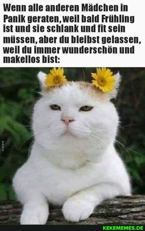 Gelassen Englisch Gelassen Englisch