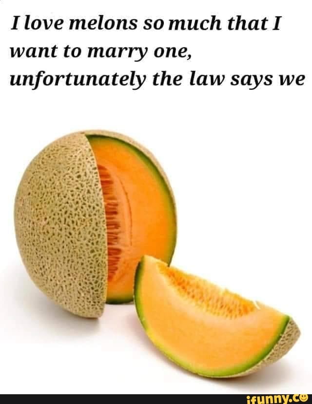 Love melons so much that I want to marry one, unfortunately the law