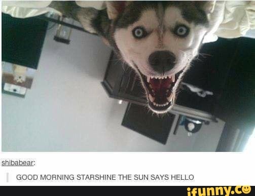 Starshine Memes. Best Collection Of Funny Starshine Pictures On Ifunny  Brazil