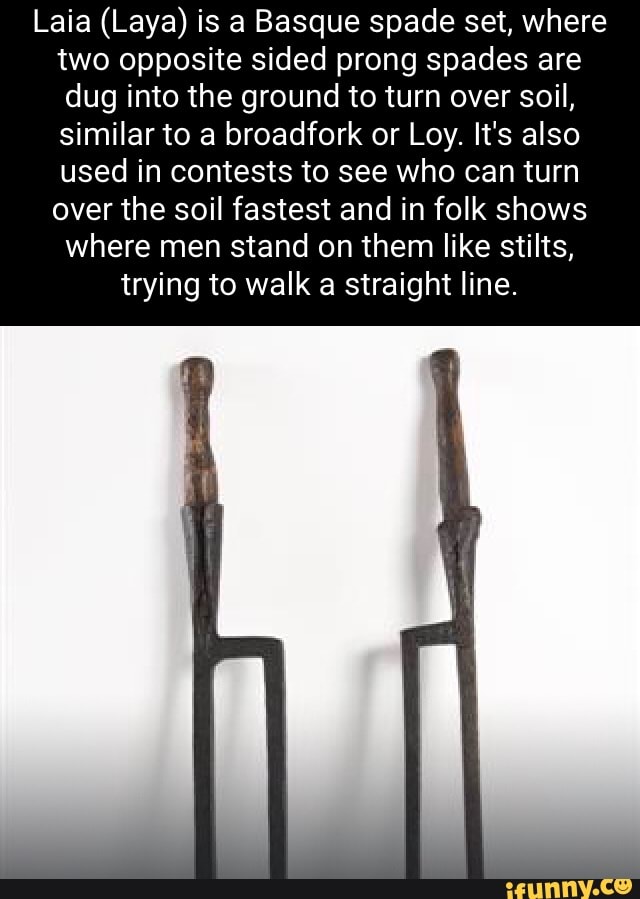 Spades memes. Best Collection of funny Spades pictures on iFunny