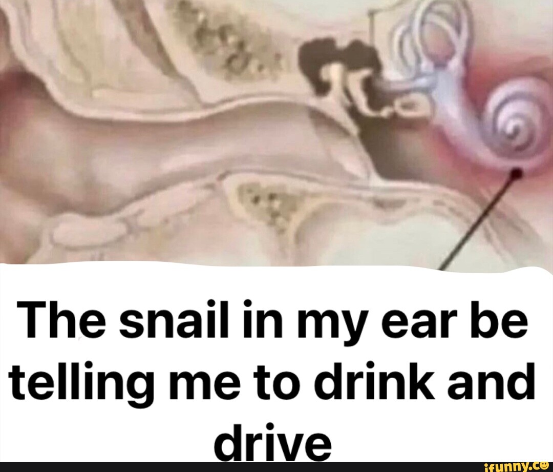 Et The snail in my ear be telling me to drink and drive - iFunny