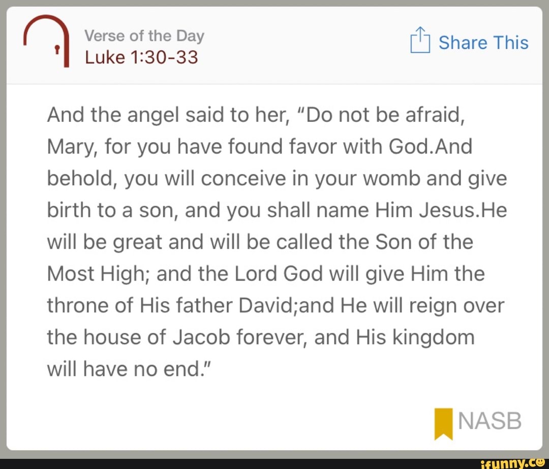 bible verse about mary treasured these things