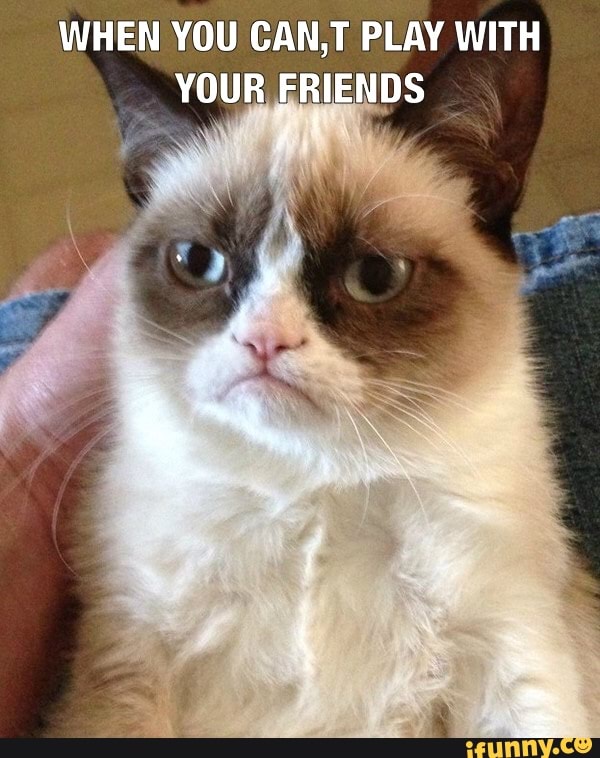 WHEN YOU CANT PLAY WITH
YOUR FRIENDS