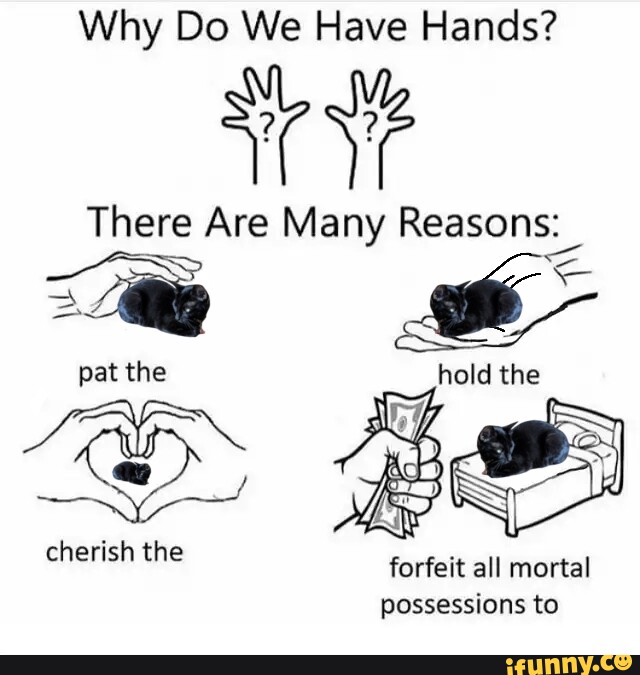 Why Do We Have Hands? There Are Many Reasons: Pat The Cherish The ...