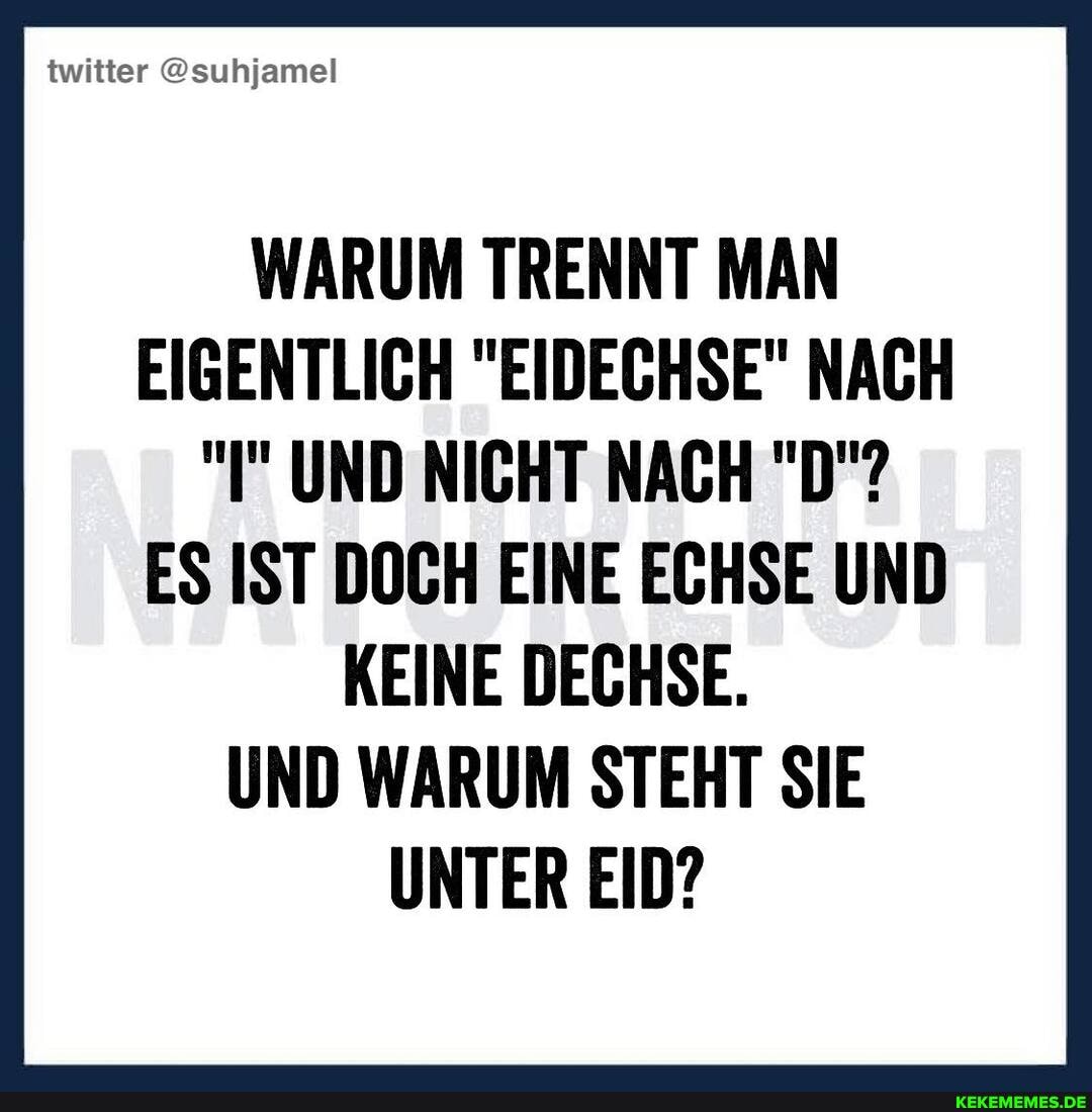 twitter @suhjamel
WARUM TRENNT MAN EIGENTLICH "EIDECHSE" NACH UND NICHT NACH "D"?
ES IST DOCH EINE ECHSE UND KEINE DECHSE.
UND WARUM STEHT SIE UNTER EID?