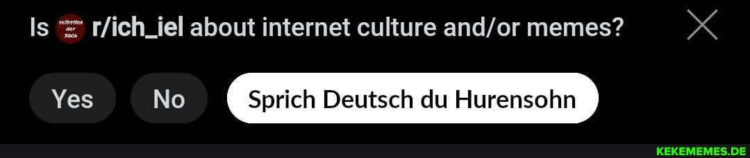 Is about internet culture memes? Yes No Sprich Deutsch du Hurensohn