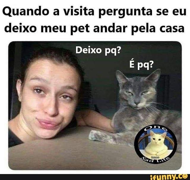 Quando a visita pergunta se eu deixo meu pet andar pela casa
Deixo pq?
pq?