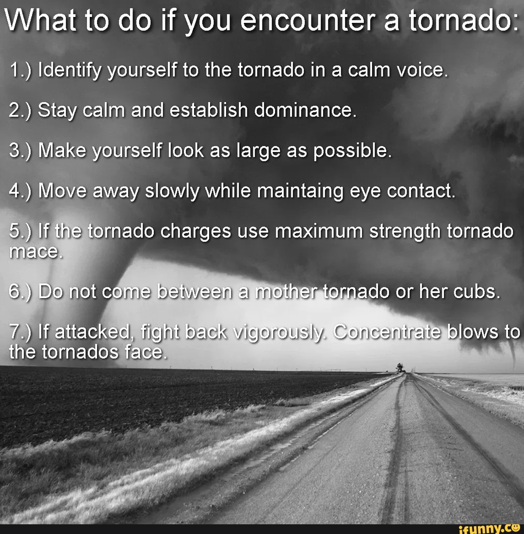 What to do if you encounter a tornado 1.) Identify yourself to the tornado in a calm voice. 2
