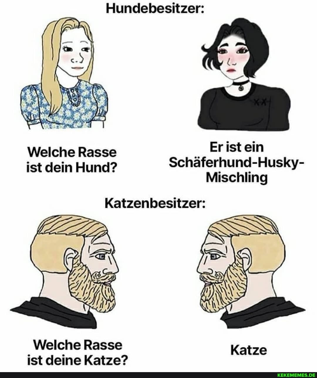 Hundebesitzer:
Welche Rasse Eristein ist dein Hund? Schäferhund-Husky-
Mischling
Katzenbesitzer:
Welche Rasse ist deine Katze?