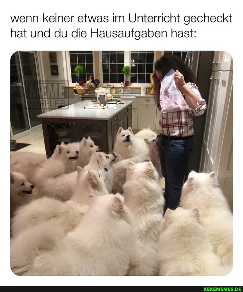 wenn keiner etwas im Unterricht gecheckt hat und du die Hausaufgaben hast: